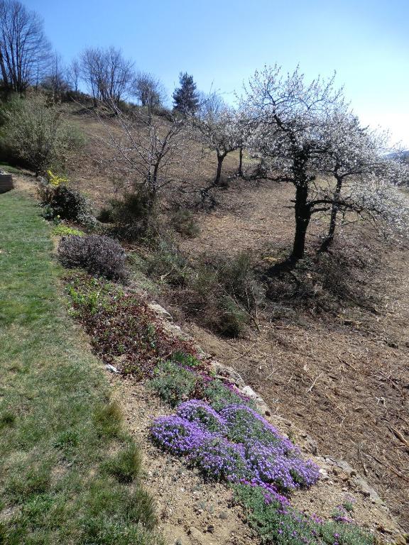 Saint-Félicien La Bastide De Fontaille B&B 외부 사진