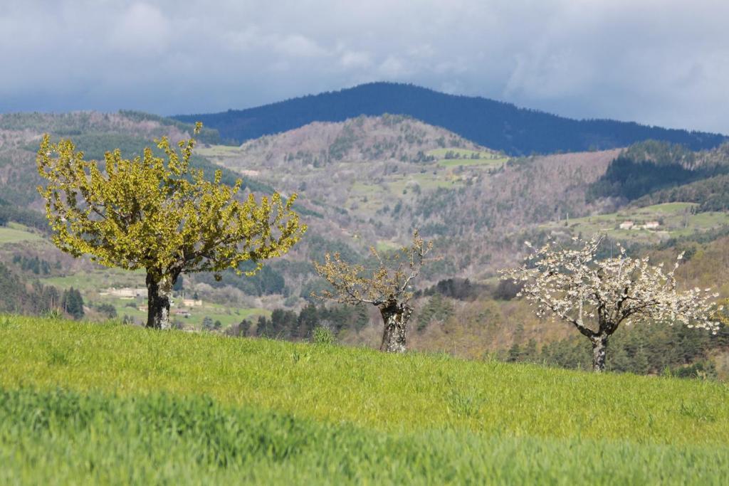 Saint-Félicien La Bastide De Fontaille B&B 외부 사진
